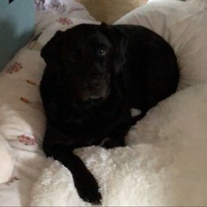 Meet your Posher, Grace